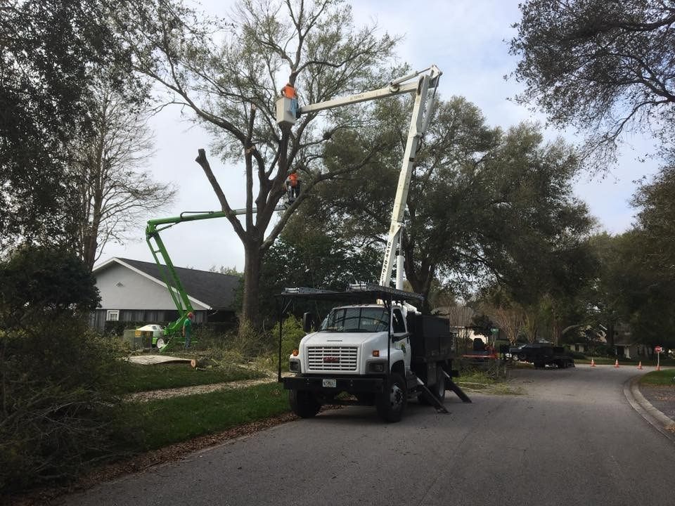 Arborist Aboard Available 24/7 For Tampa FL Emergency Tree