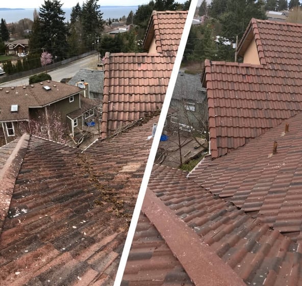 Roof Cleaning Near Me