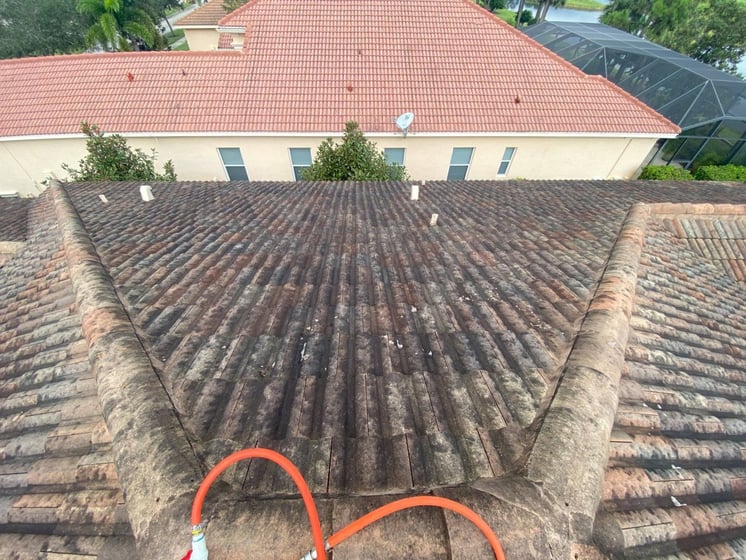 Roof Cleaning Near Me