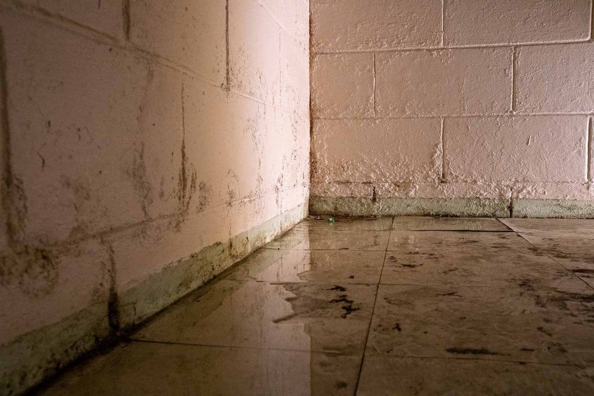 How Basement Waterproofing Helps Prevent Water Damage Chillicoth