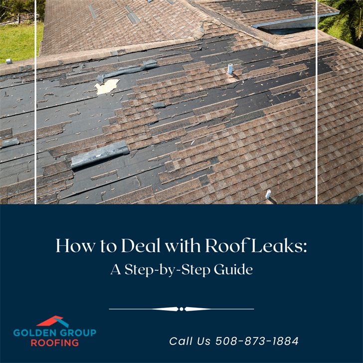 How to Deal with Roof Leaks A StepbyStep Guide Suncoast News and