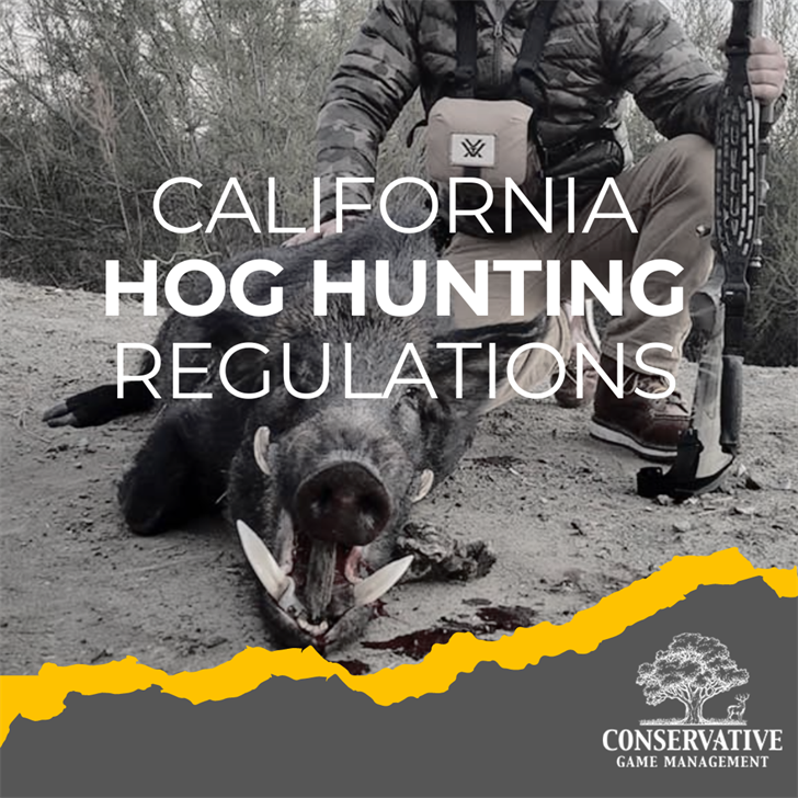 California Hog Hunting Regulations Know Before You Go Hog Hunting WICZ