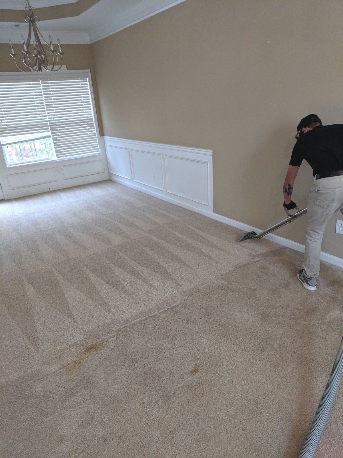 Yes Pet Friendly Carpet Cleaning Services Introduces Offerings in