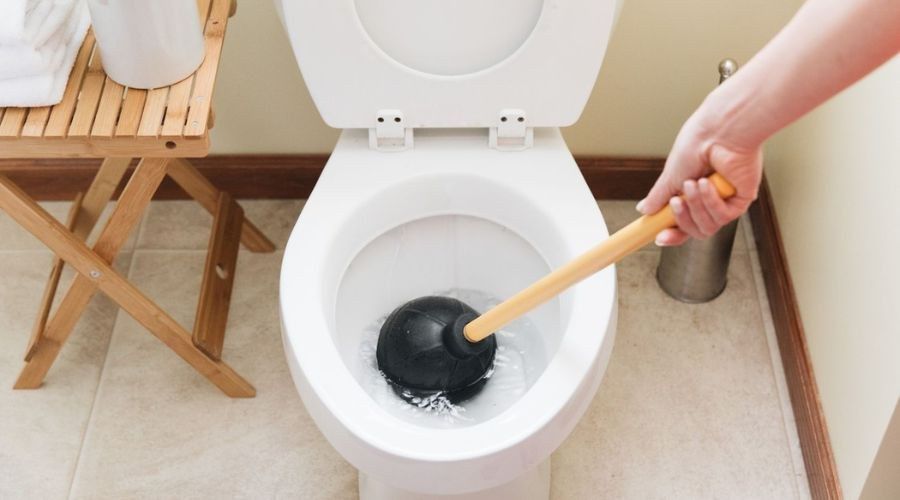 BackedUp Toilets Crucial Tips for Homeowners WICZ