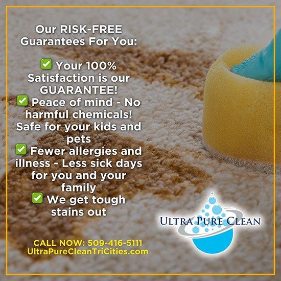 Go Green Professional Carpet Cleaners' EcoFriendly Solutions for a