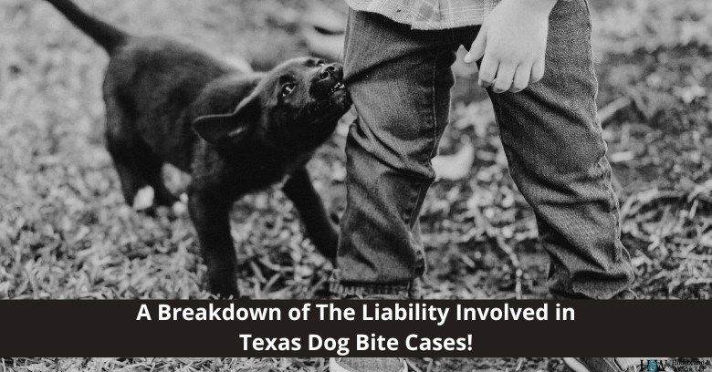 A Breakdown of The Liability Involved in Texas Dog Bite Cases