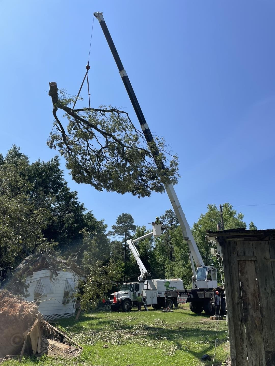 Hawkins Tree and Landscaping Offers Tree Removal in Wake Village, TX ...