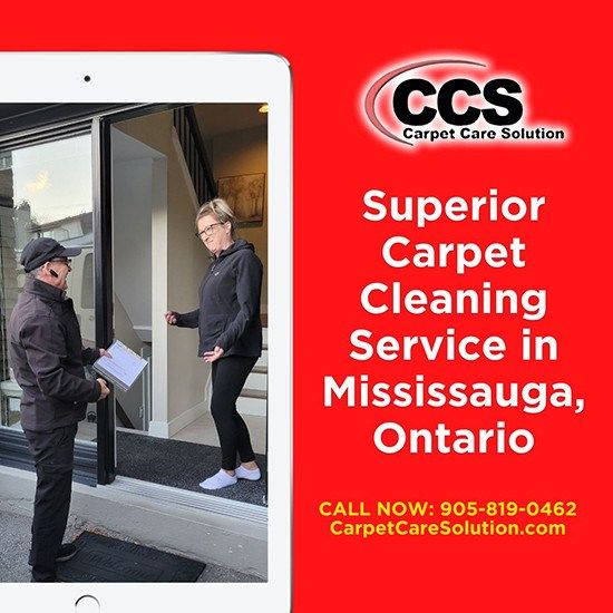 Expert Carpet Cleaning Service in Mississauga, ON Keeps Your Home Fresh & Clean