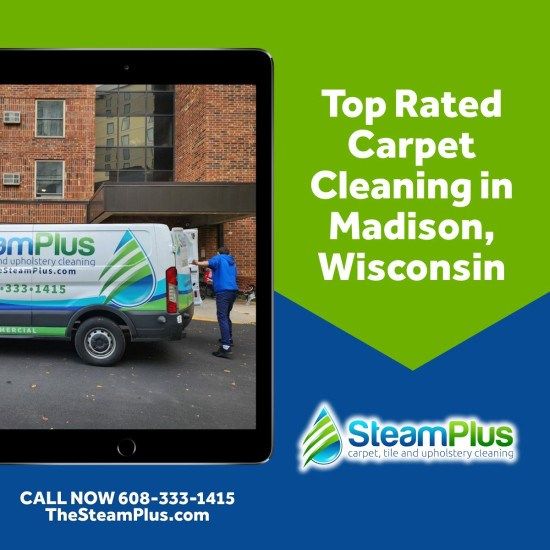 Expert Carpet Cleaning Service in Madison, WI: Effective Stain Removal Process
