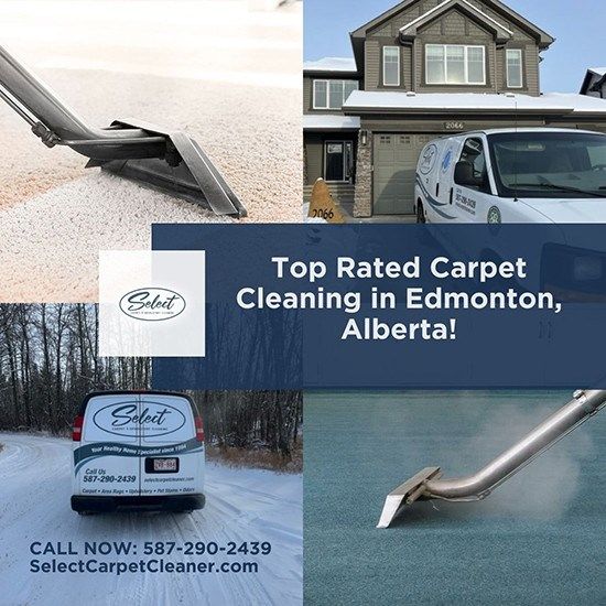 Expert Carpet Cleaning Service in Edmonton, ON: Protect High-Traffic Carpets
