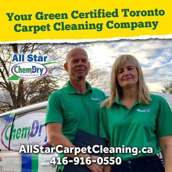 Effective Pet Urine and Odor Removal Services in Toronto, ON to Restore Mattress