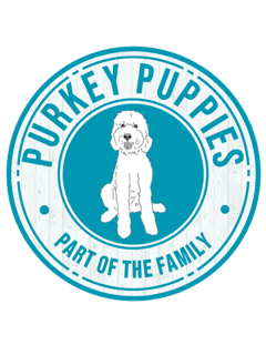 How Purkey Puppies Delivers Ethical, Loving Companions in Texas