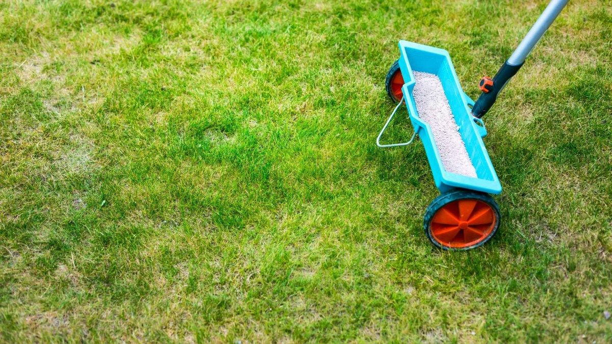 Augusta Grass Masters Identifies Critical Fall Lawn Care Mistakes