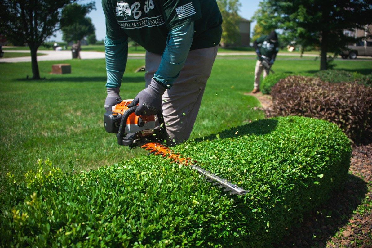 Bill's Lawn Provides Full Fall Cleanup and Lawn Maintenance Services in Illinois