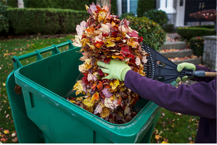 Expert Fall Cleanup Guidance Keeps Connecticut Lawns Healthy Before Winter