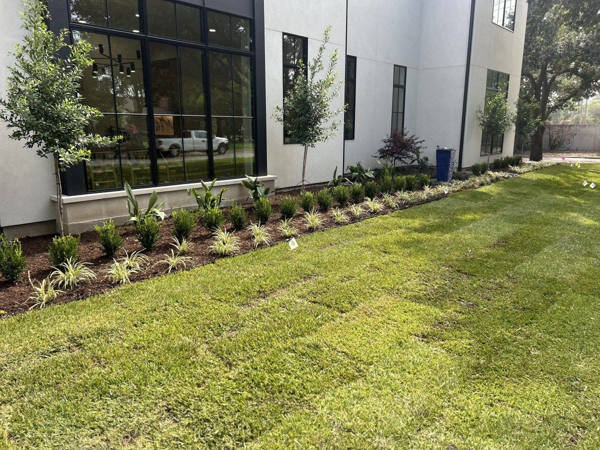 Beautiful Exteriors Enhances Fall Landscapes for Dallas Homeowners