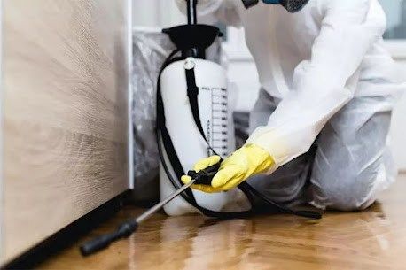 Noticing Winter Pests In Your Alpharetta Homes?