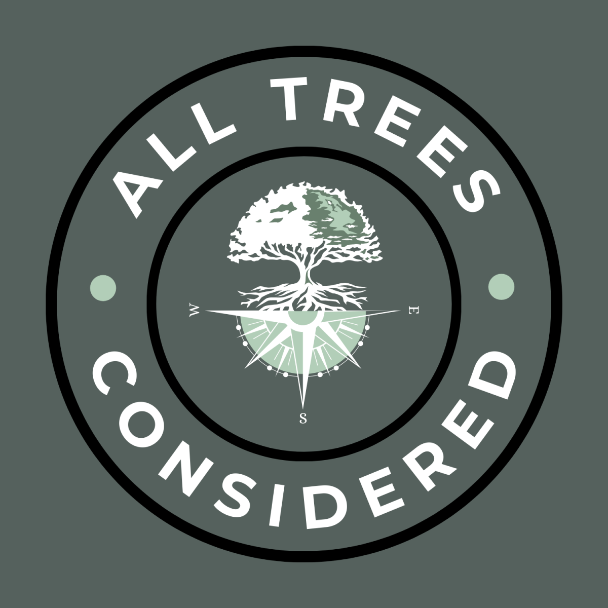 Tree Trimming in Chardon, OH: Keep Your Trees Healthy and Your Yard Safe