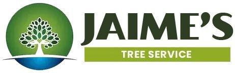 Choosing the Right Tree Service Company in Fairfield, OH: Questions to Ask