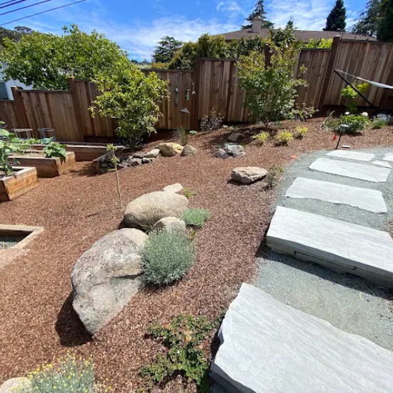 San Jose Landscaping Experts Discuss How To Revamp Your Yard Through Landscaping