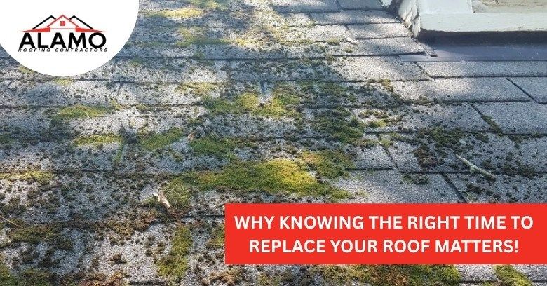 Why Knowing The Right Time to Replace Your Roof Matters!