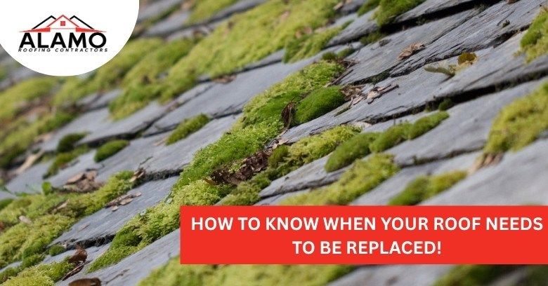 How to Know When Your Roof Needs to be Replaced!