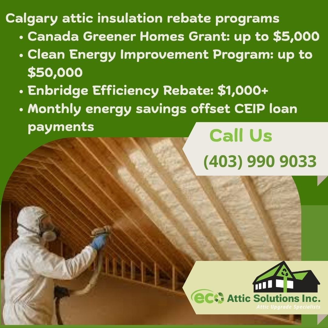 Eco Attic Solutions Helps Calgary Homes Reduce Heat Loss and Moisture Risks