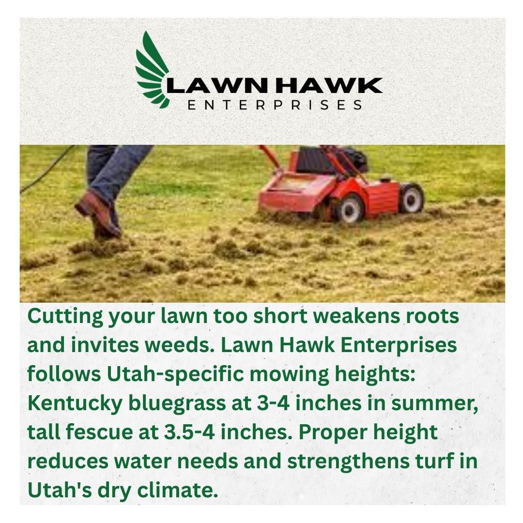 Optimal Lawn Mowing Heights Revealed by Salt Lake City Turf Professionals