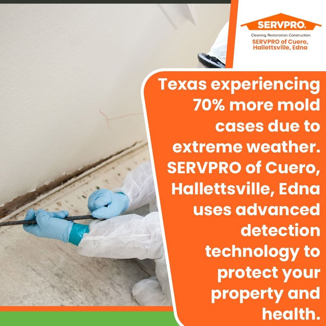 Texas restoration experts address surge in climate-related mold infestations