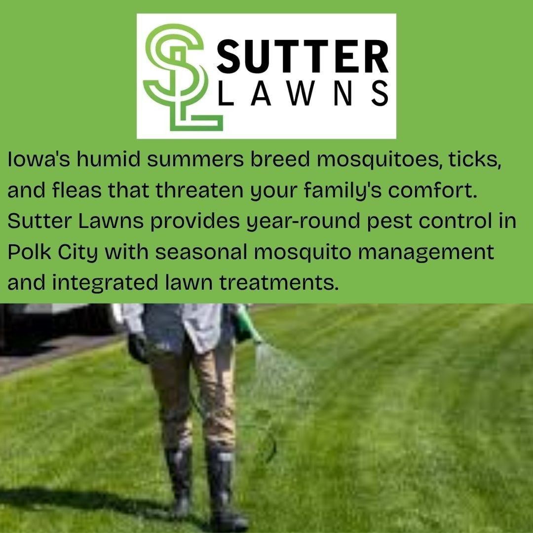 Keep Your Lawn Safe with Mosquito and Pest Control Services