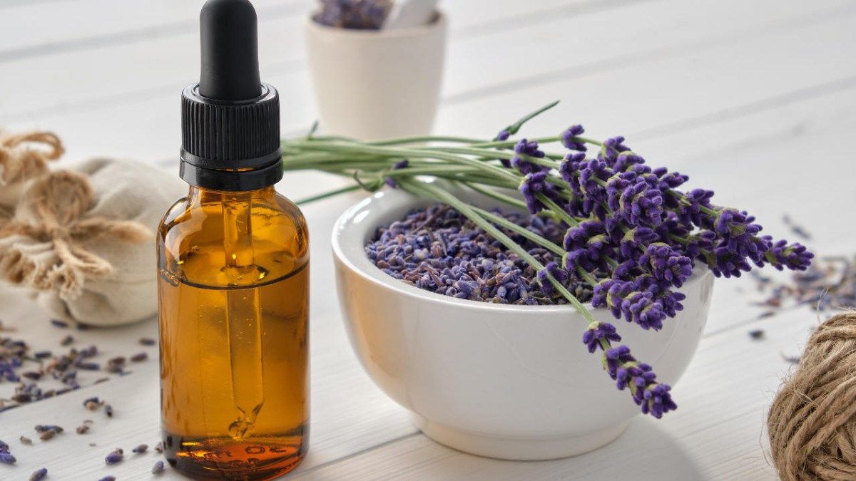 DIY Lavender Blends for Relaxation with Loving Essential Oils ' November 2025