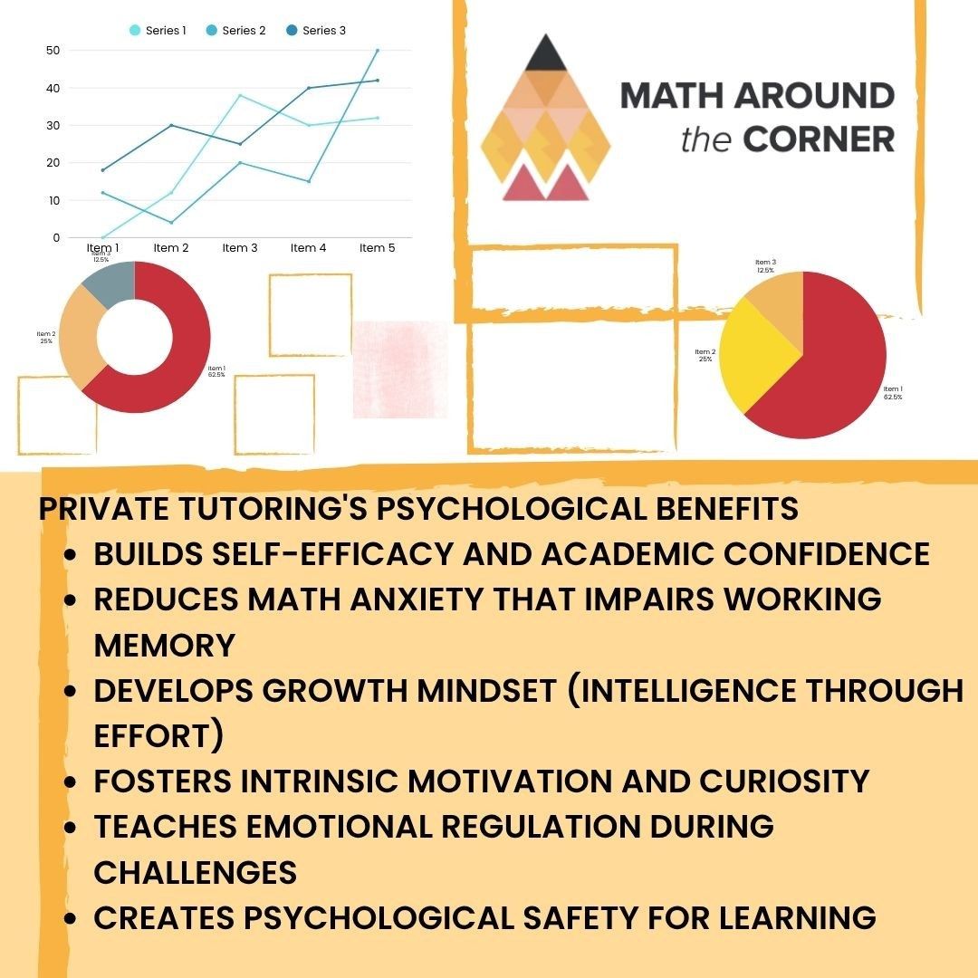 How Private Tutoring Boosts Confidence and Skills Beyond Just Grades