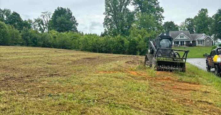 Lundy's Tree Service Strengthens Tree Service Contractor Operations in Virginia