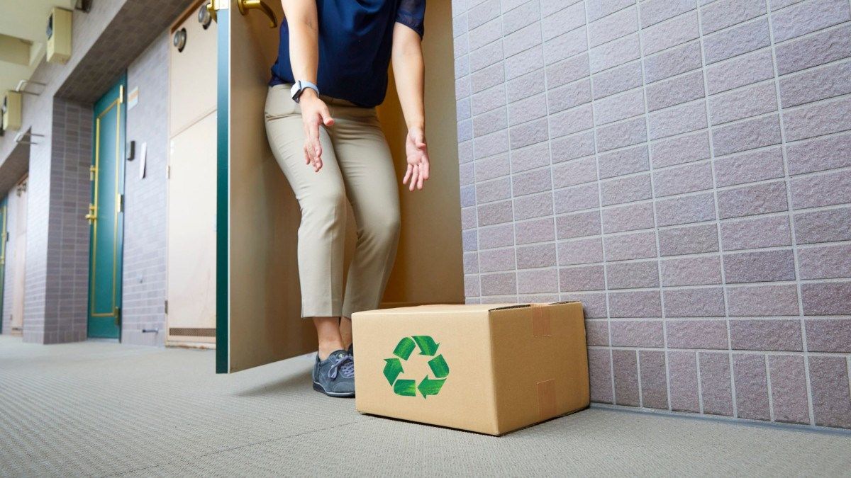 Green Logistics: How Express Delivery Can Go Eco-Friendly