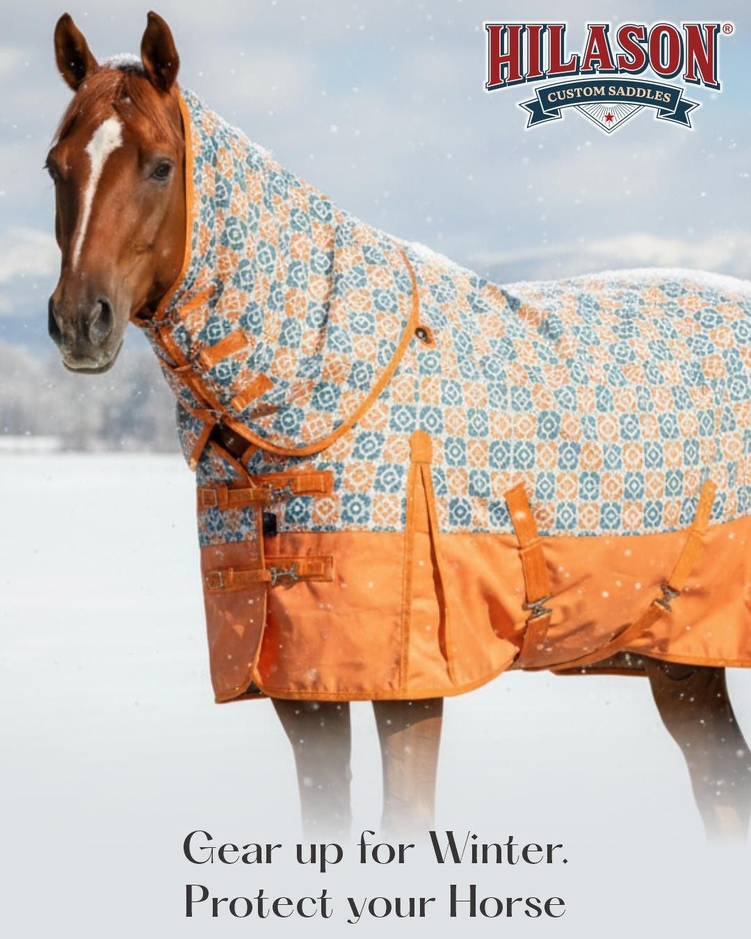 Get Ready for Winter with Hilason's Top Turnout Blankets