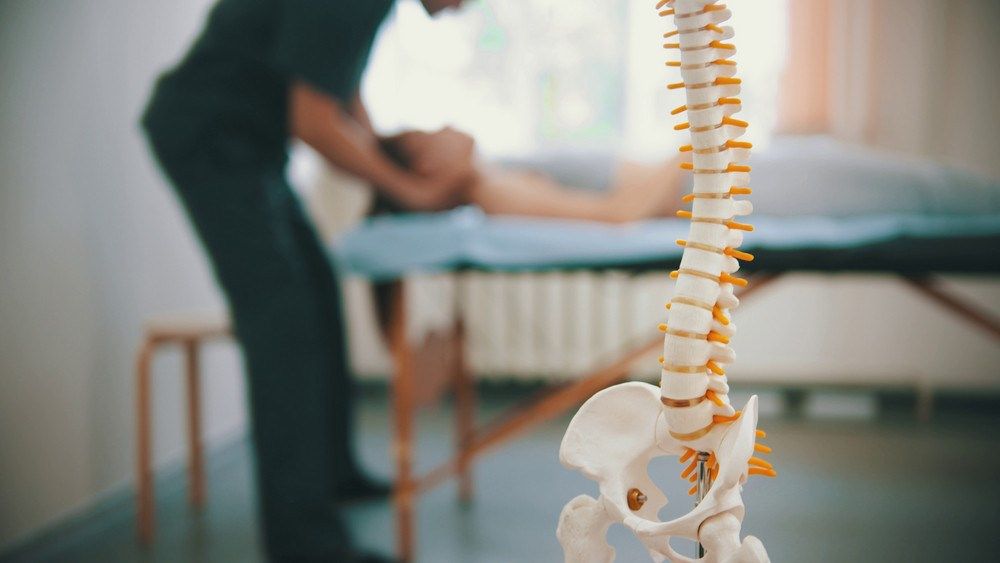 Personalized Chiropractic Care: A Pathway to Optimal Wellness in Bradenton