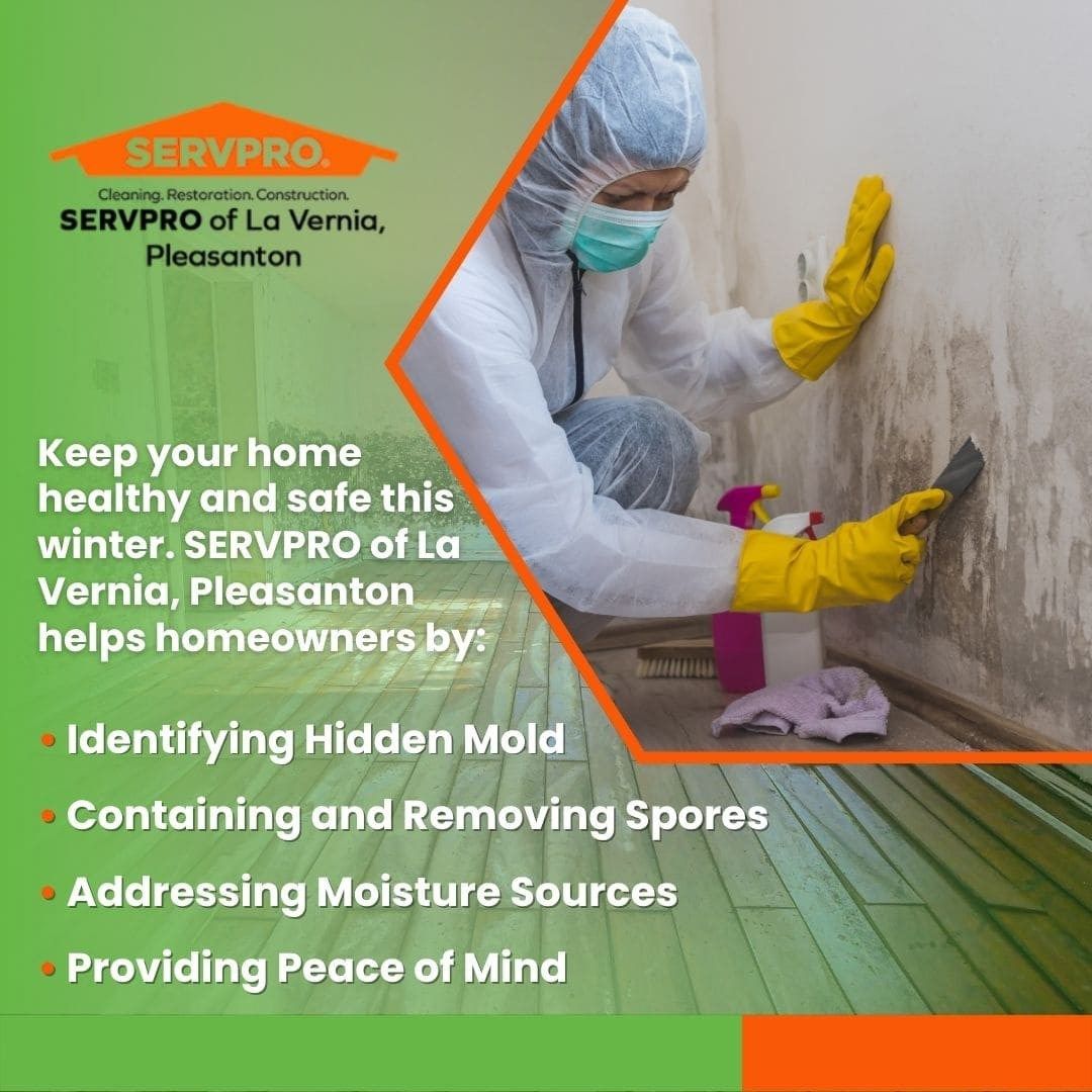 La Vernia mold removal specialists address hidden mold sources in HVAC systems