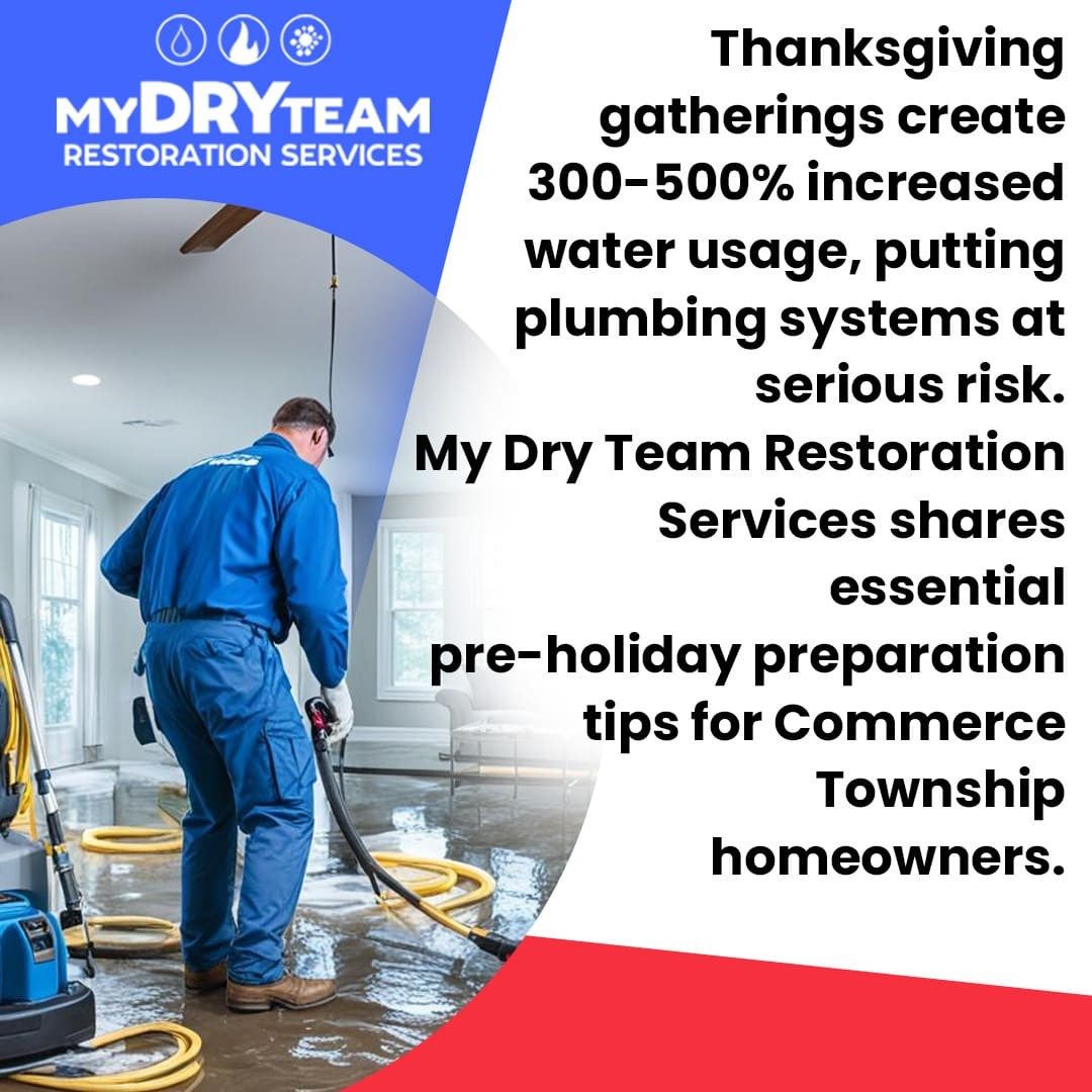 My Dry Team Restoration offers water damage repair services in Holidays
