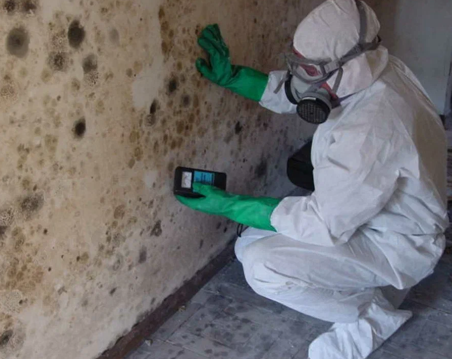 Southern IL Property Owners Rely on Restoration Connection for Fast Recovery