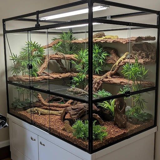 Discover the Best PVC Reptile Enclosures for Your Pets