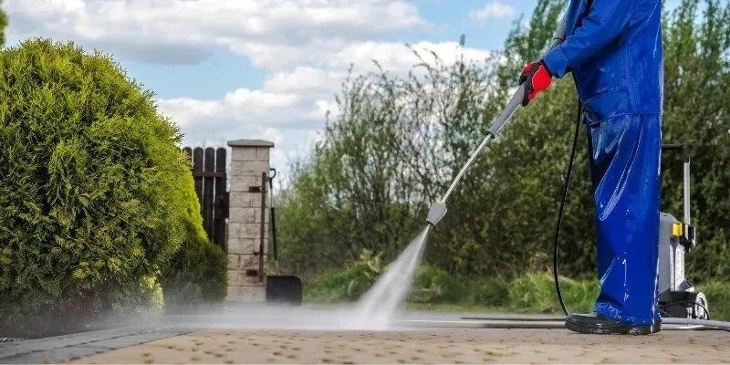 Expert Tree Care and Landscaping Services in Cleveland