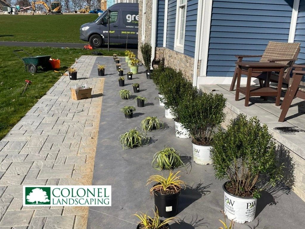 Eco-Friendly Landscaping Ideas from Colonel Landscaping for Greener Yards