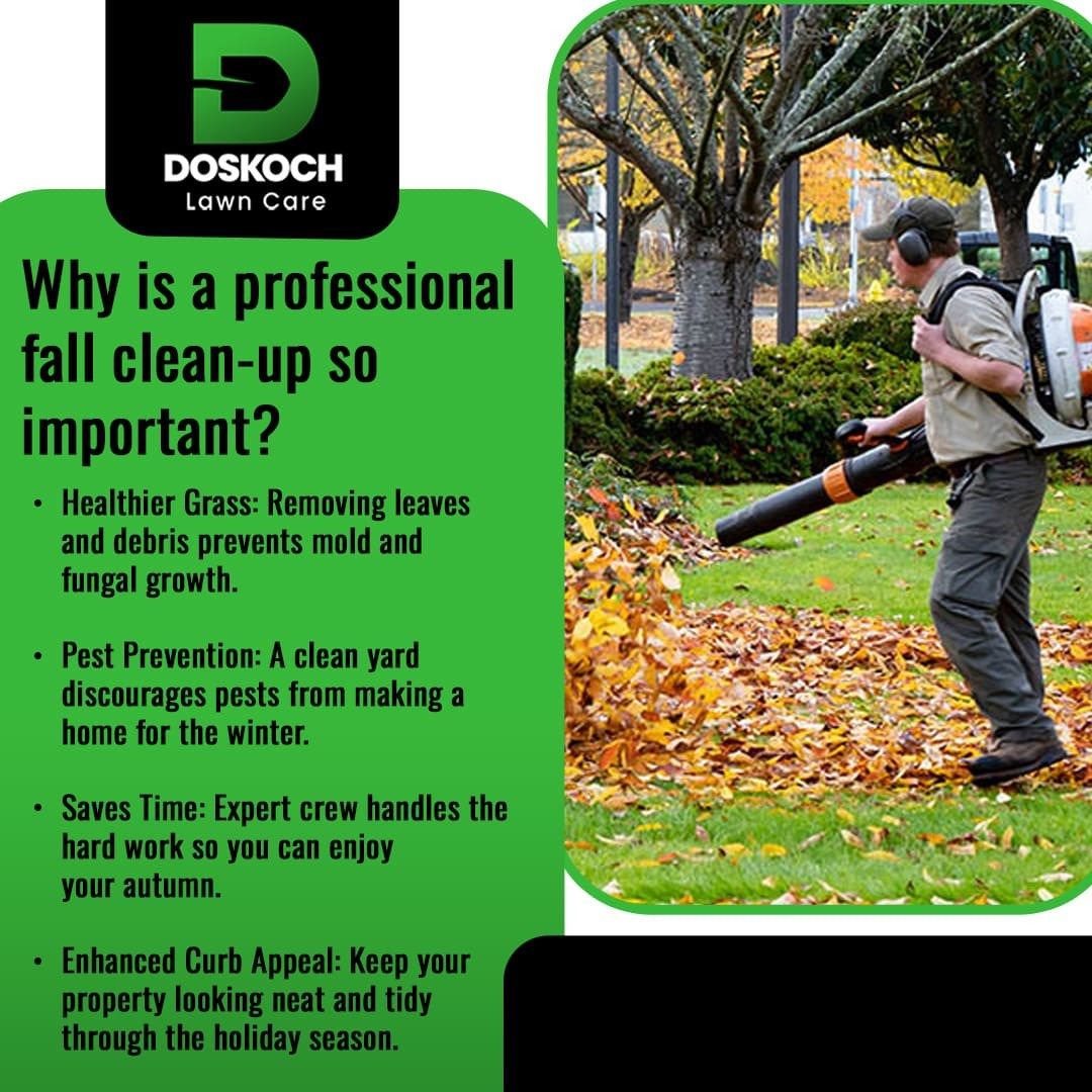 Prepare Your Lawn for Winter with Doskoch Lawn Care & Landscaping Services