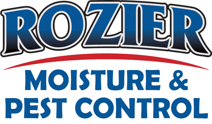 Pest Control Company in South Hill, VA: How to Keep the Pests Away