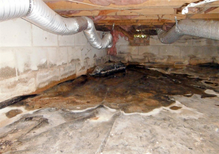 Crawlspace Waterproofing ROI: Protecting Your Home's Value