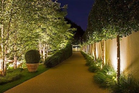 Where Should Outdoor Uplights Be Placed In Raleigh?