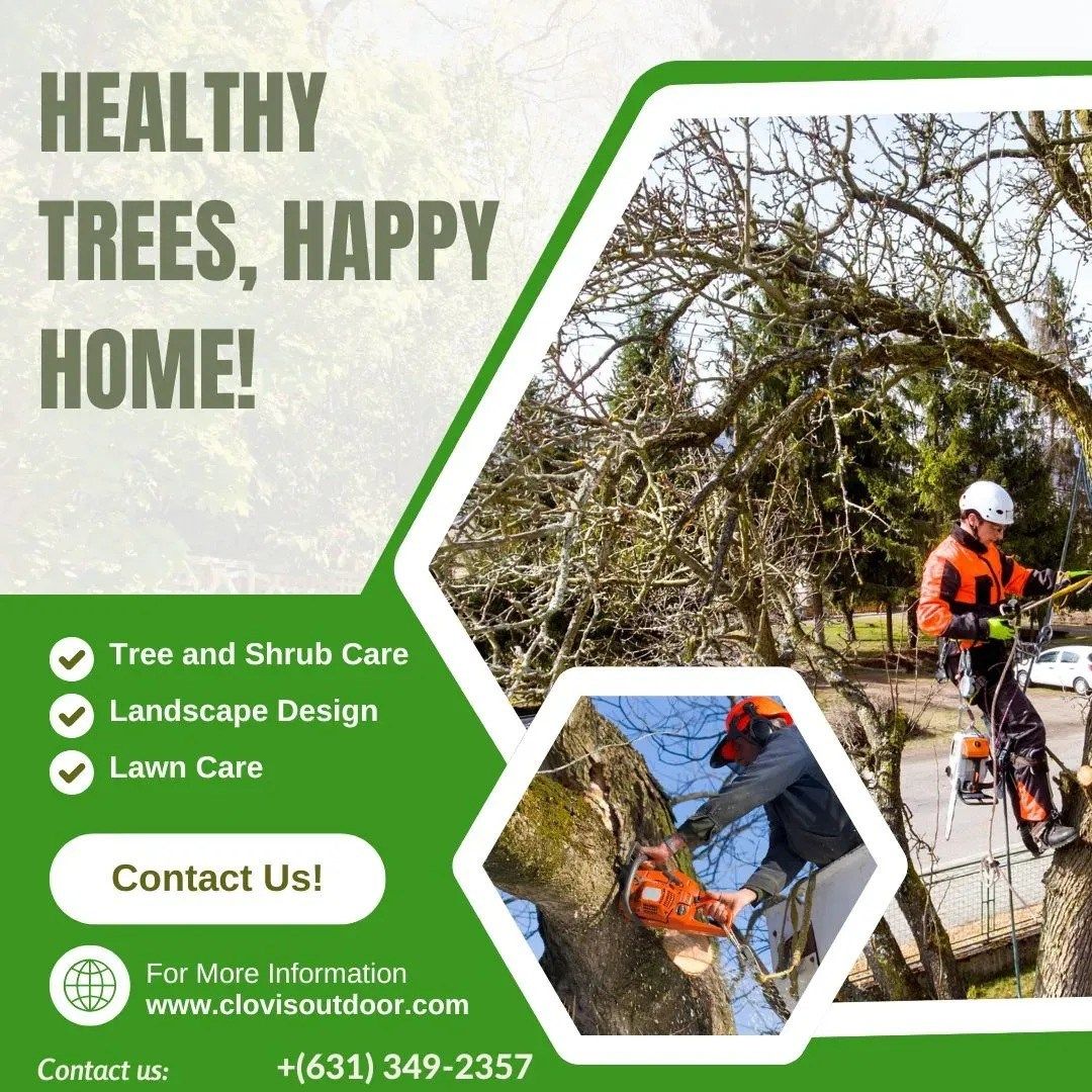Your Trusted Tree Services in Long Island, NY