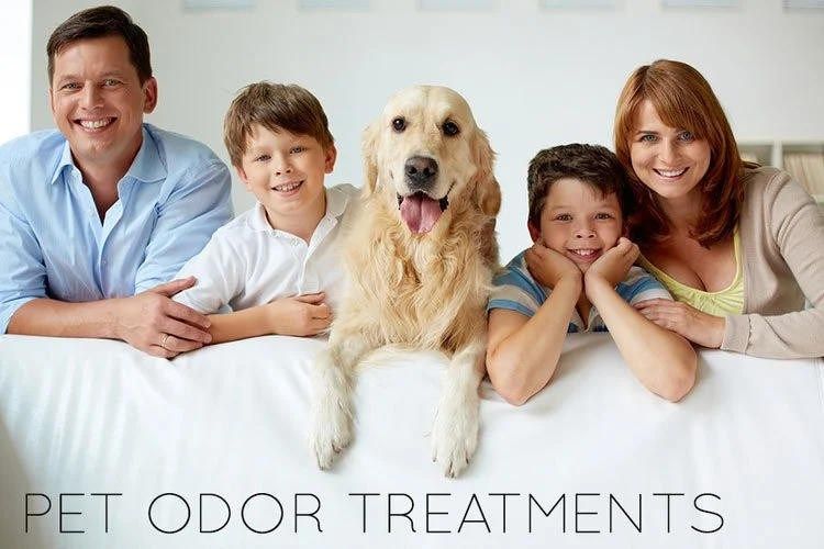 Effective Pet Odor Treatment Now Available in Austin