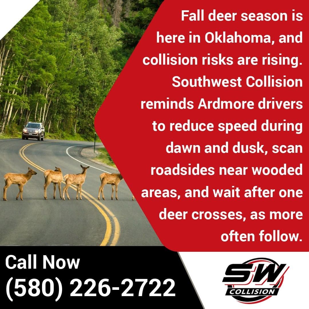 Rising Fall Deer Collisions: Alert for Ardmore Drivers from Southwest Collision