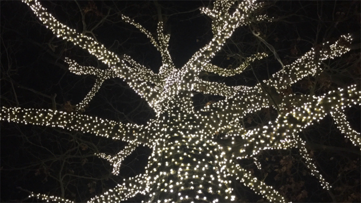 Northwest Ohio Homeowners Advised to Book Holiday Lighting Early